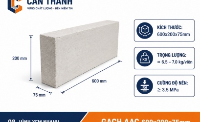 Báo giá gạch Eblock TPHCM mới nhất 2026 - Cập nhật theo kích thước